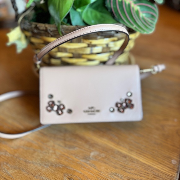 Coach Hayden Foldover WOC wallet on chain crossbody bag all leather - Picture 1 of 4